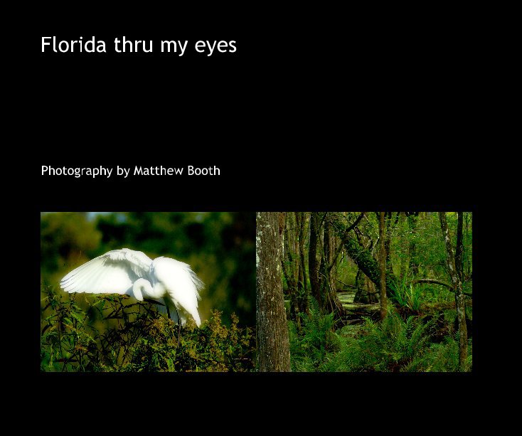 View Florida thru my eyes by Photography by Matthew Booth