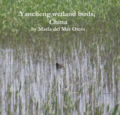Yancheng wetland birds, China book cover