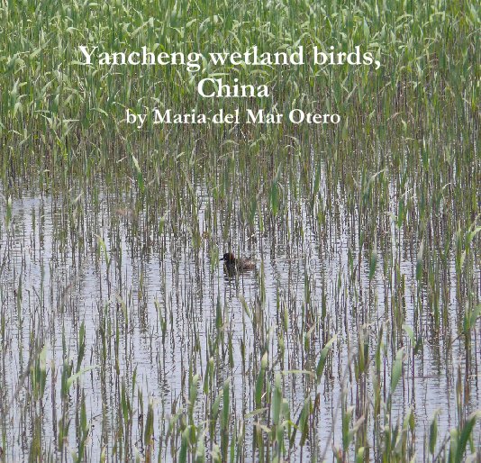 View Yancheng wetland birds, China by Maria del Mar Otero Villanueva