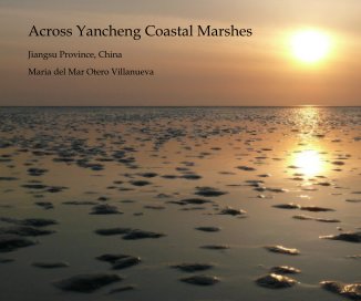 Across Yancheng Coastal Marshes book cover