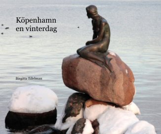 Köpenhamn en vinterdag book cover