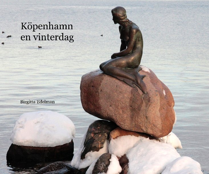 View Köpenhamn en vinterdag by Birgitta Edelman