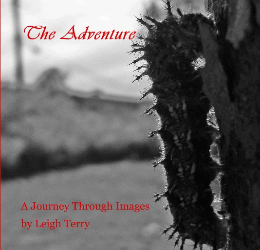 Bekijk The Adventure op Leigh Terry