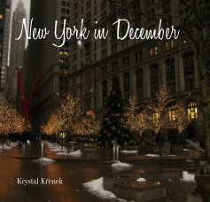 New York in December book cover