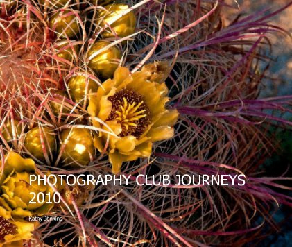 PHOTOGRAPHY CLUB JOURNEYS 2010 book cover