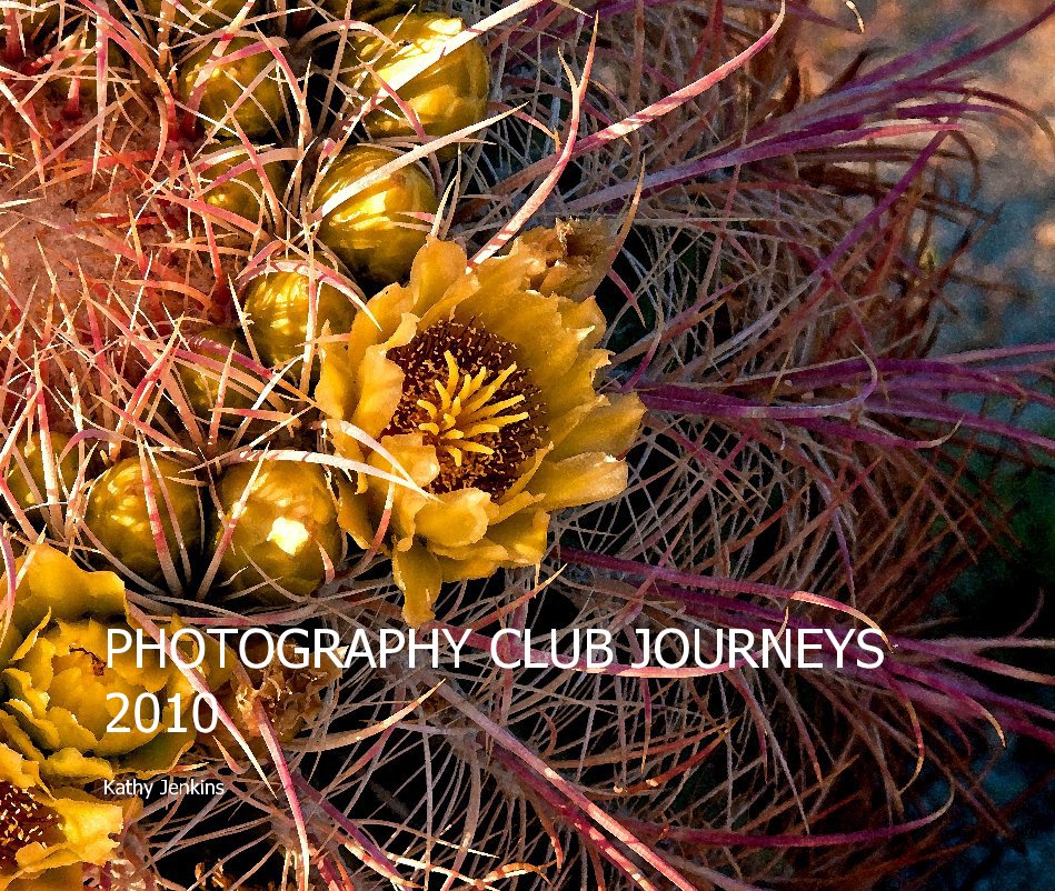 View PHOTOGRAPHY CLUB JOURNEYS 2010 by Kathy Jenkins