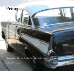 Princess book cover