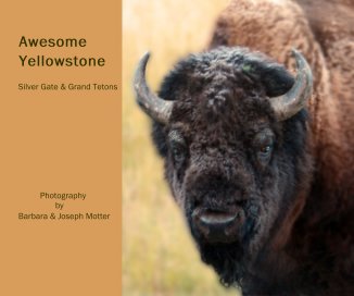 Awesome Yellowstone Silver Gate & Grand Tetons Photography by Barbara & Joseph Motter book cover