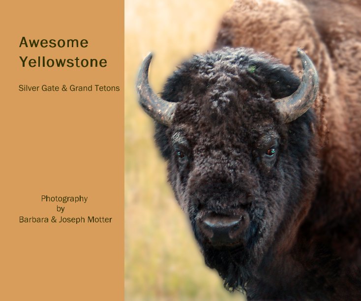View Awesome Yellowstone Silver Gate & Grand Tetons Photography by Barbara & Joseph Motter by Barbara & Joe Motter