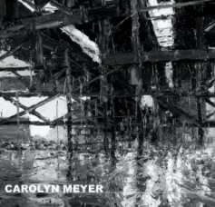 Carolyn Meyer - NYC 2011 book cover