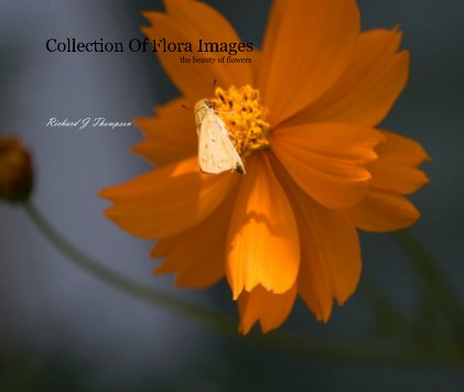 Collection Of Flora Images book cover
