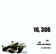 16, 306 book cover