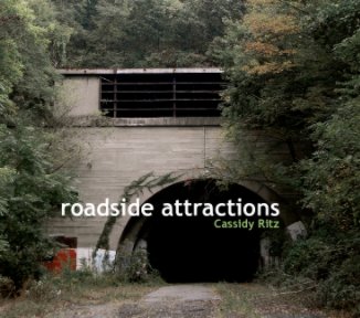 Roadside Attractions book cover