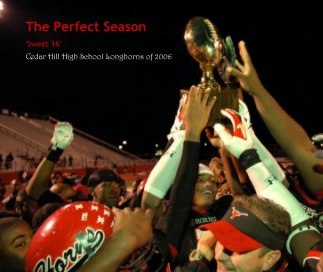 The Perfect Season book cover