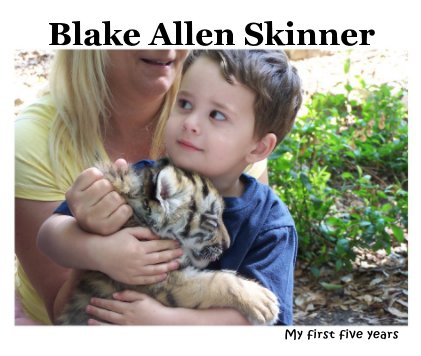 Blake Allen Skinner book cover