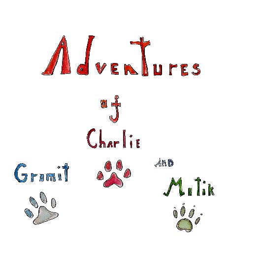 Ver Adventures of Gromit, Charlie and Motik por Khatia Esartia