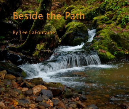 Beside the Path book cover