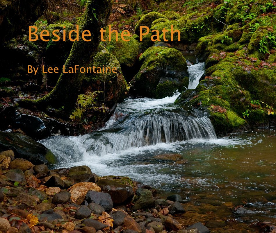 View Beside the Path by Lee LaFontaine