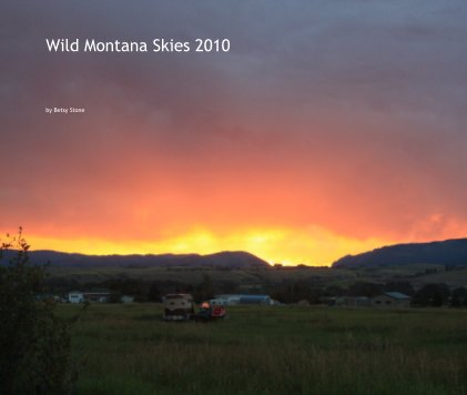 Wild Montana Skies 2010 book cover