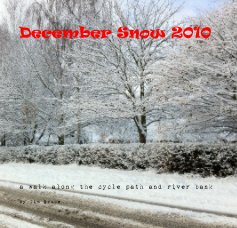 December Snow 2010 book cover