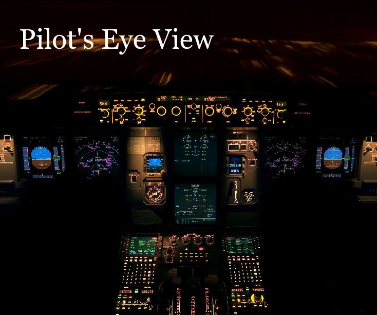 Ver Pilot's Eye View por photos4u2c.wordpress.com