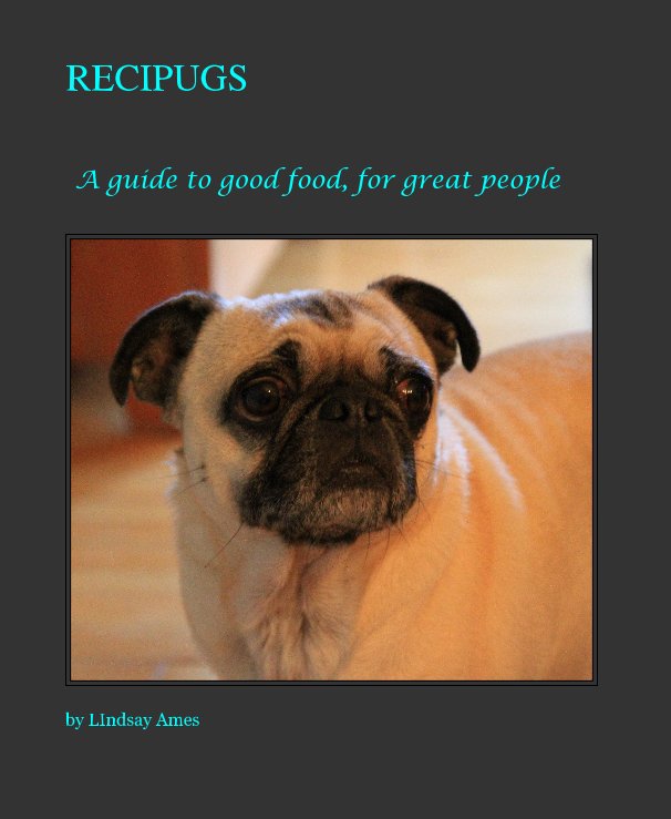 View RECIPUGS by LIndsay Ames