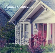 Vintage Grapevine book cover