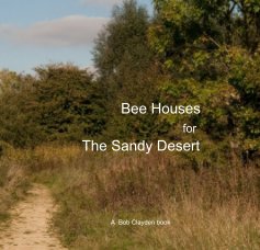 Bee Houses for The Sandy Desert book cover