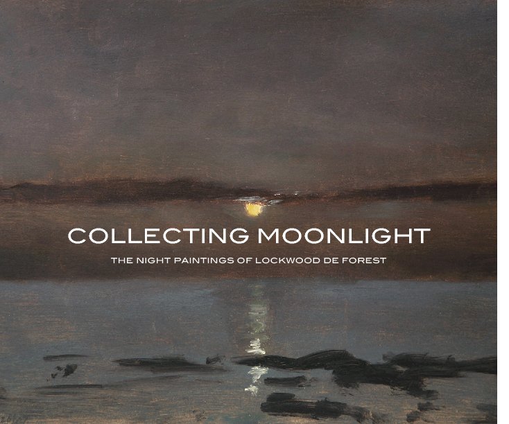View Collecting Moonlight by Jeremy Tessmer