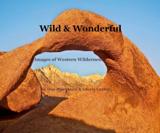 Wild & Wonderful book cover