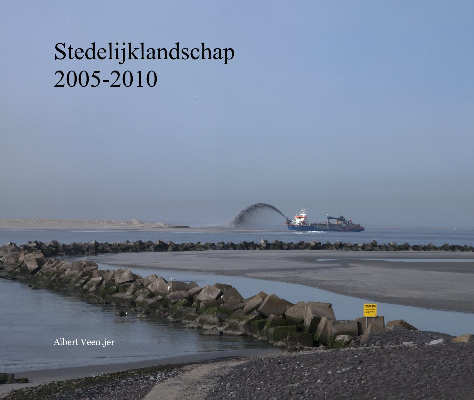 View Stedelijklandschap 2005-2010 by Albert Veentjer