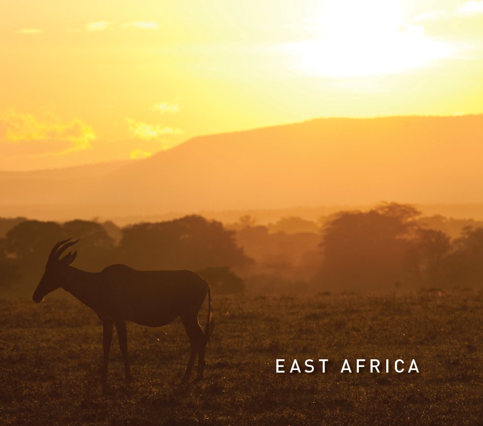View East Africa by Fat Tony