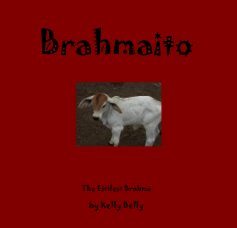 Brahmaito book cover