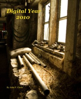 Digital Year 2010 book cover