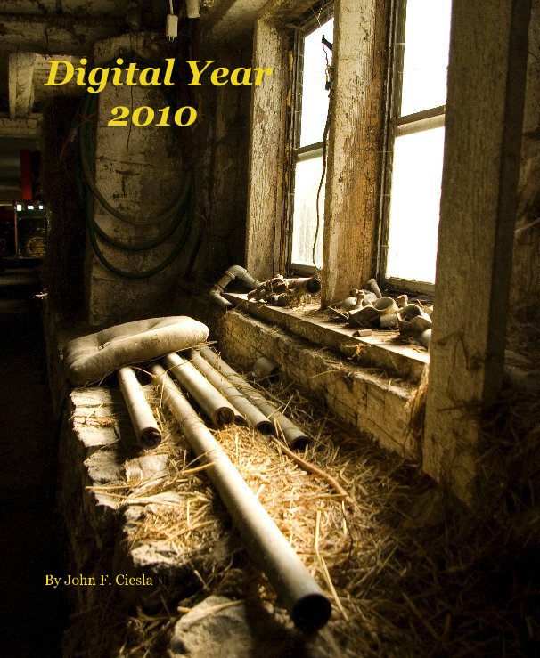View Digital Year 2010 by John F. Ciesla