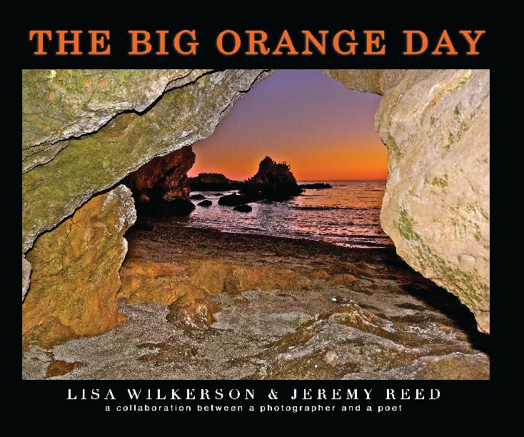 View The Big Orange Day by Lisa R Wilkerson Jeremy Reed