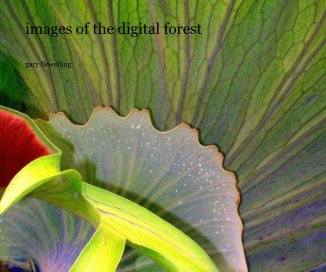 images of the digital forest book cover
