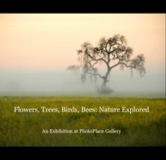 Flowers, Trees, Birds, Bees: Nature Explored book cover