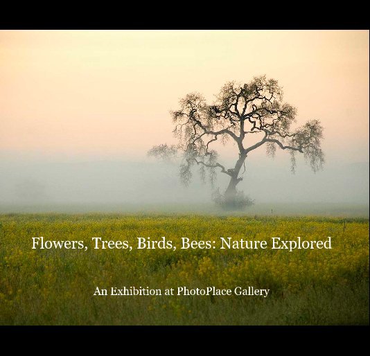 Ver Flowers, Trees, Birds, Bees: Nature Explored por khoving