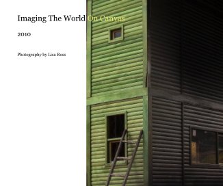 Imaging The World On Canvas book cover