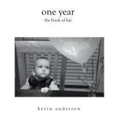 one year the book of kai book cover