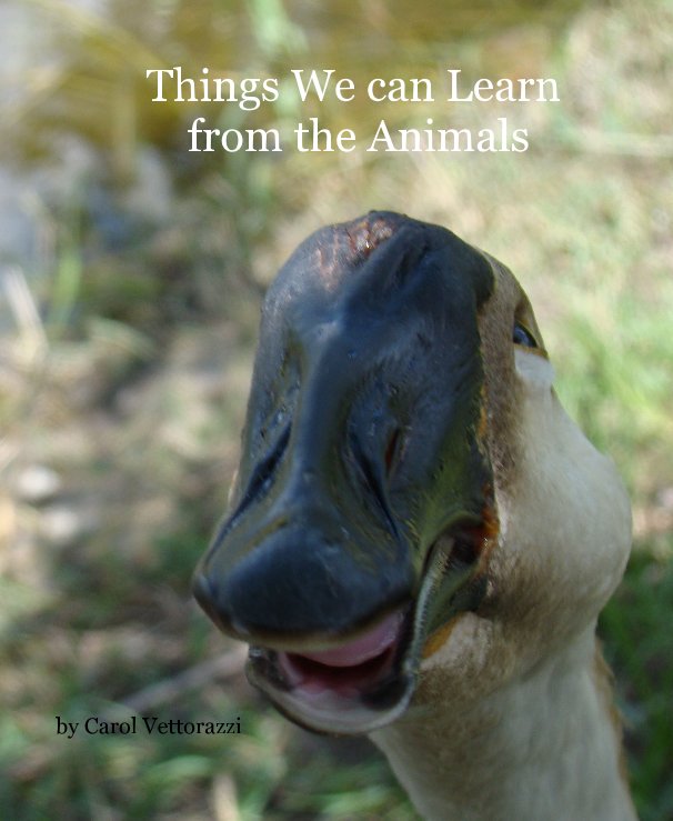 Ver Things We can Learn from the Animals por Carol Vettorazzi