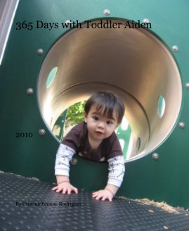 365 Days with Toddler Aiden book cover
