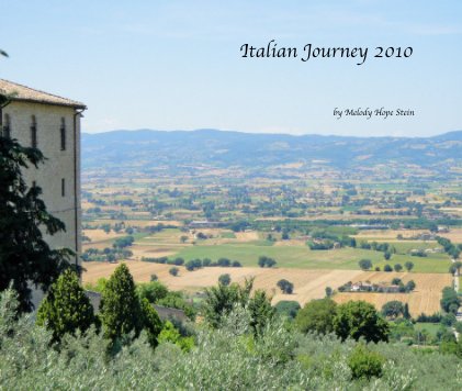 Italian Journey 2010 book cover