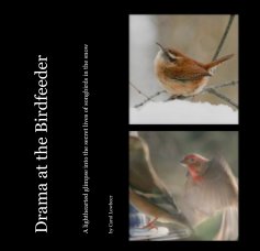 Drama at the Birdfeeder book cover