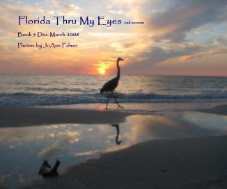 Florida Thru My Eyes 2nd version book cover