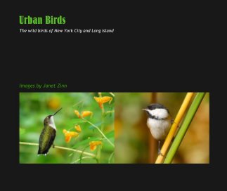 Urban Birds book cover