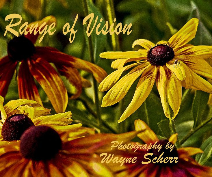 Ver Range of Vision por Wayne Scherr