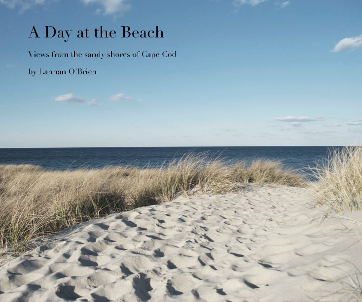 Visualizza A Day at the Beach di Lannan O'Brien