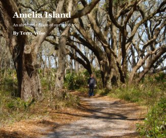Amelia Island book cover
